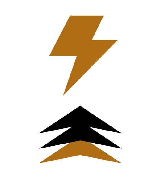 VCMA Villatoro Champion Martial Arts logo